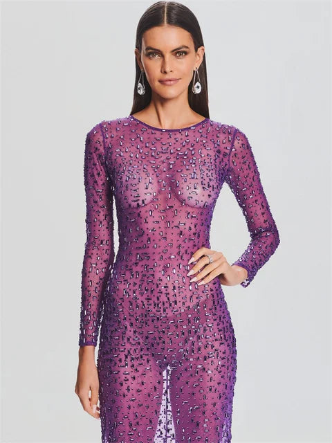 Sparkly Sequin Long Sleeve Maxi Evening Dress